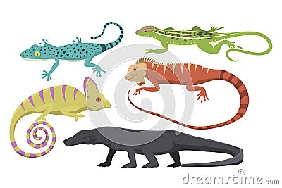 Different kind of lizard reptile isolated vector illustration. Vector Illustration