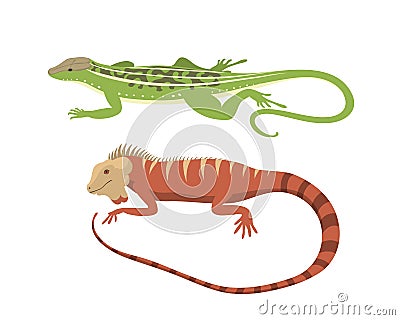 Different kind of lizard reptile vector illustration. Vector Illustration