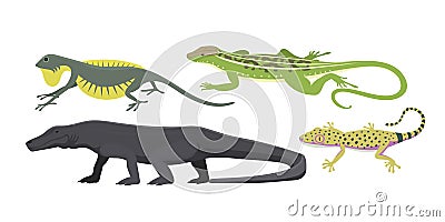 Different kind of lizard reptile vector illustration. Vector Illustration