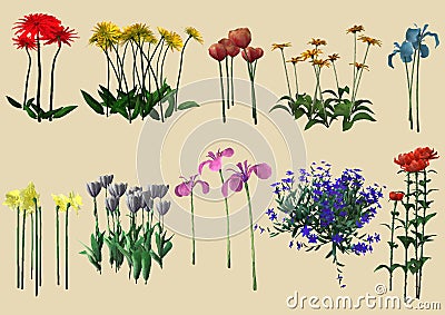 Different kinds of flowers Vector Illustration