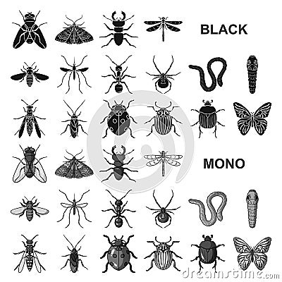 Different kinds of insects black icons in set collection for design. Insect arthropod vector symbol stock web Vector Illustration