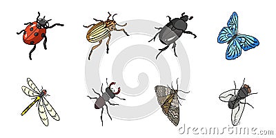 Different kinds of insects icons in set collection for design. Insect arthropod isometric vector symbol stock web Vector Illustration