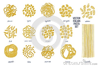 Different kinds of Italian pasta with names. Fettucine, conchiglie, fusilli, cellentani, vermicelli, tagliatelle, pipe Vector Illustration