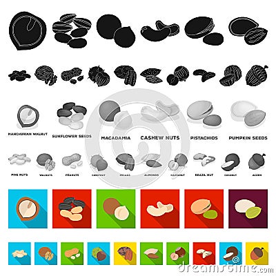 Different kinds of nuts flat icons in set collection for design.Nut Food vector symbol stock web illustration. Vector Illustration