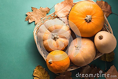 Different kinds of pumpkins in wicker basket colorful dry autumn leaves scattered on dark green background. Thanksgiving fall Stock Photo