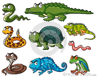 Different kinds of reptiles Vector Illustration