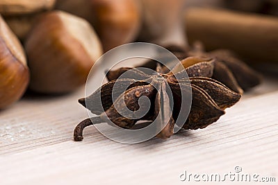 Different kinds of spices, nuts and dried oranges Stock Photo