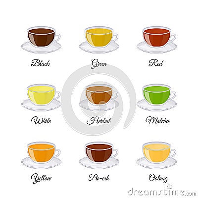 Different kinds of tea including black, green, white, matcha, pu-erh, yellow, red, herbal, oolong. Vector Illustration