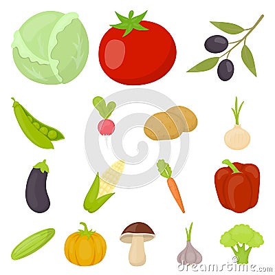 Different kinds of vegetables cartoon icons in set collection for design. Vegetables and vitamins vector symbol stock Vector Illustration
