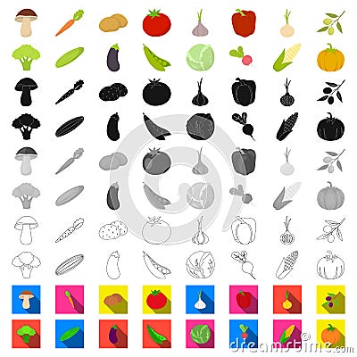 Different kinds of vegetables cartoon icons in set collection for design. Vegetables and vitamins vector symbol stock Vector Illustration