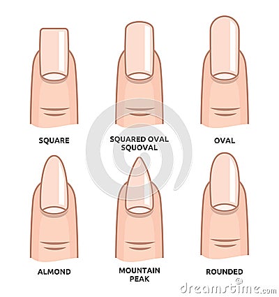 Different nail shapes - Fingernails fashion Trends Cartoon Illustration