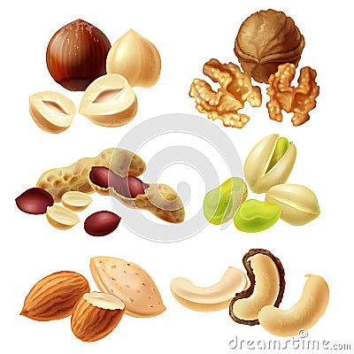 Different nuts realistic set Cartoon Illustration