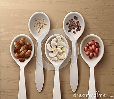 Different nuts in spoons Vector Illustration