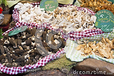 Different organic mushroom varieties at the local farmer market Stock Photo
