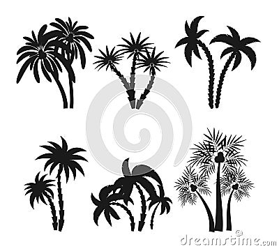 Different palm trees set silhouettes isolated on white background. Black tropical plants icons. Rainforest jungle plants Vector Illustration