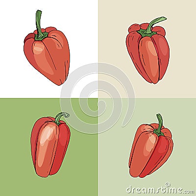 Different peppers. Fresh red vegetables on white Vector Illustration