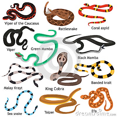 Different poison snakes color flat icons set Stock Photo