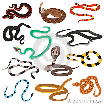 Different poison snakes color flat icons set Stock Photo