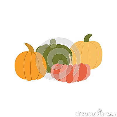 Different pumpkins hand drawn illustration. Vector Illustration