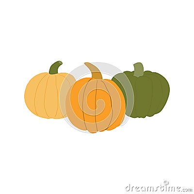 Different pumpkins hand drawn illustration. Vector Illustration