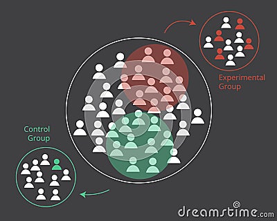 Different between randomized control group and experimental group in experimentation vector Vector Illustration