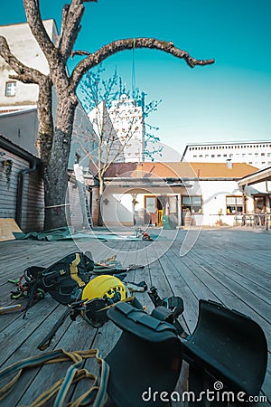 Different safety equipment for arborist or arborists lying on the ground ready to be dressed up. Tree for cutting down in the Stock Photo