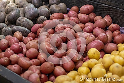 Different Selections of Potatoes Stock Photo