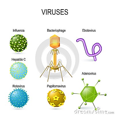 Different shapes of viruses Vector Illustration