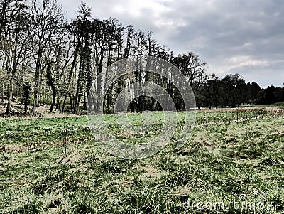 Different sharpness and blurring areas. Expressionistic visual effect. Dramatic weather, view of the meadow of a stream. Stock Photo