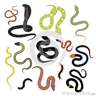 Different snake reptile animals cartoon vector set. Vector Illustration