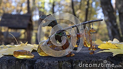 Different sparkling vintage yellow and orange Baltic amber earrings held by a dinosaur. Stock Photo