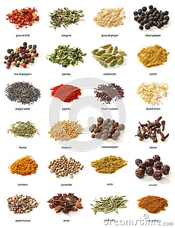 Different spices on white background. Stock Photo