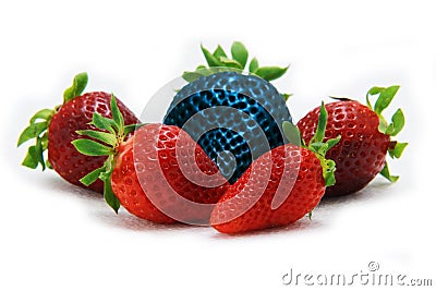 Different than the rest alone blue strawberry.Concept for genetically modified food Stock Photo