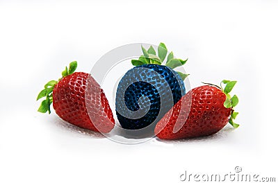 Different than the rest alone blue strawberry.Concept for genetically modified food Stock Photo