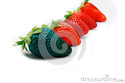 Different than the rest alone blue strawberry.Concept for genetically modified food Stock Photo