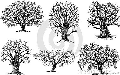 Different trees Vector Illustration