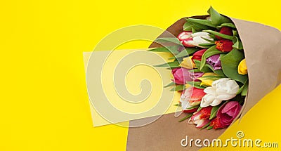 Different tulips wrapped in bunch Stock Photo