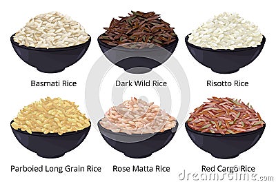 Different type of rice. Long grain, brown, white and other. Vector illustrations in cartoon style Vector Illustration