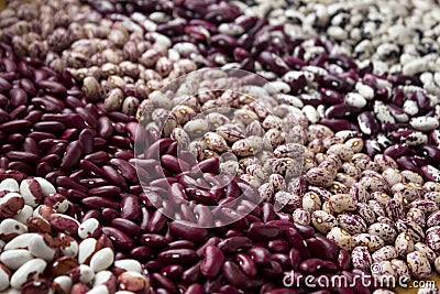 Different types of beans - kidney, variegated beans, anasazi, background. Leguminous, red, white, beige and black beans Stock Photo