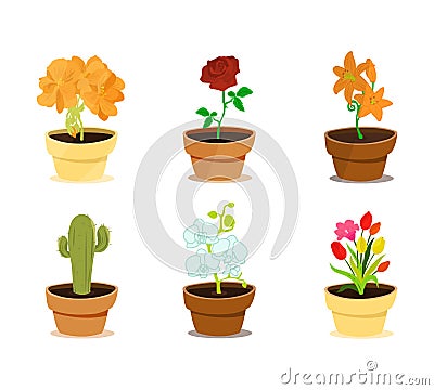 Different types of beautiful, decorative, modern flowers in clay pots. Vector Illustration