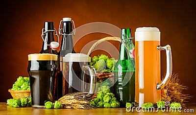 Different Types of Beer and Brewing Ingredients Stock Photo