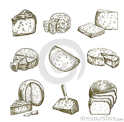 Different types of cheese. Set of vector sketches on white Vector Illustration