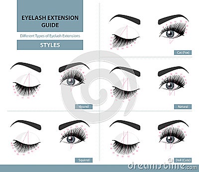 Different types of eyelash extensions. Styles for the most flattering look. Infographic vector illustration Vector Illustration