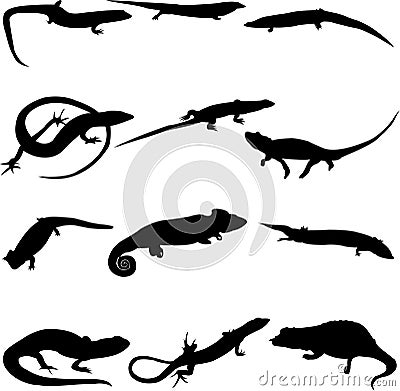 Different types of lizard silhouette Vector Illustration