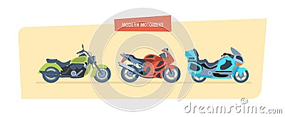 Different types of modern motorcycles: sports, biker motorcycle, classic. Vector Illustration