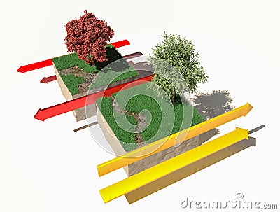 Different types of plate boundaries: transform boundaries, terrain section, 3d render. Stock Photo