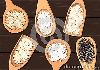 Different types of rice in wooden spoons. Basmati, wild, jasmine, long brown, arborio, sushi, dark wooden background Vector Illustration