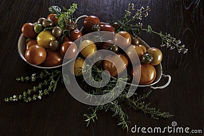 Different types of tomatoes from our own organic cultivation Stock Photo