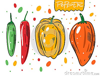 Different whole sweet peppers and chilli. Hand drawn vector illustration in cartoon style Cartoon Illustration