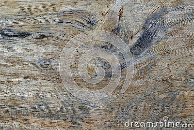 Different wood textures and backgrounds LVIII Stock Photo